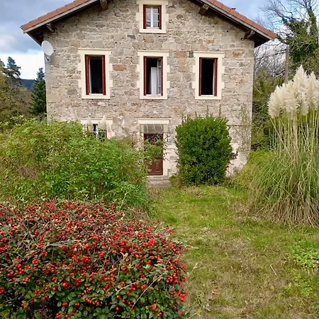 Framboise *